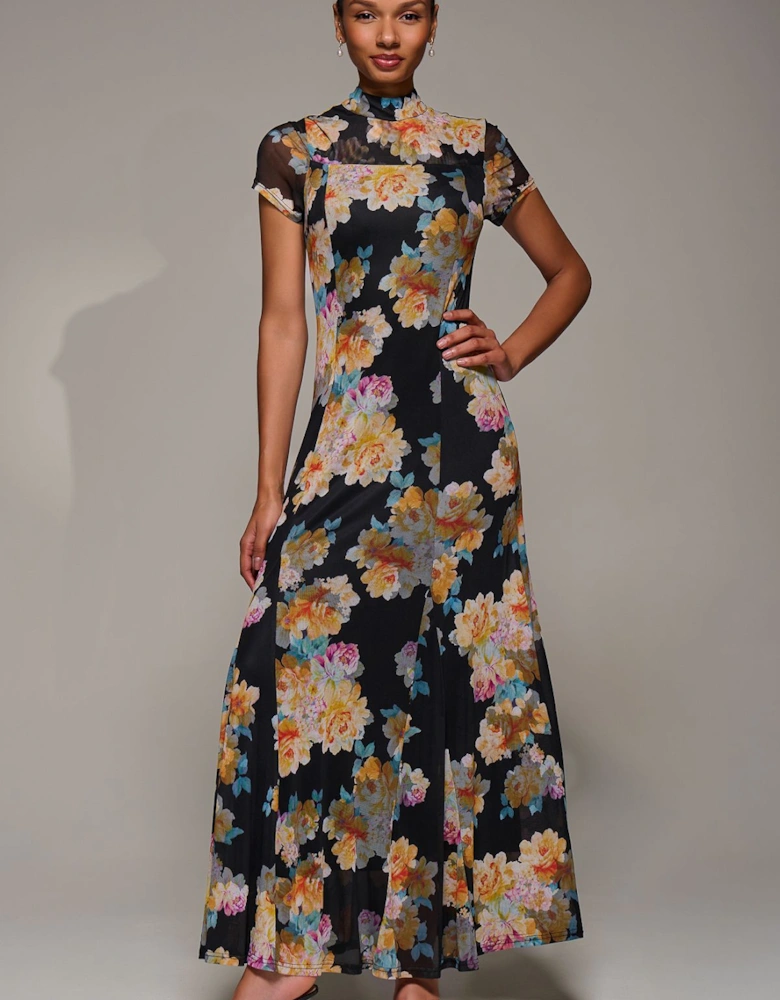 Turtle Neckline Mesh Maxi Dress