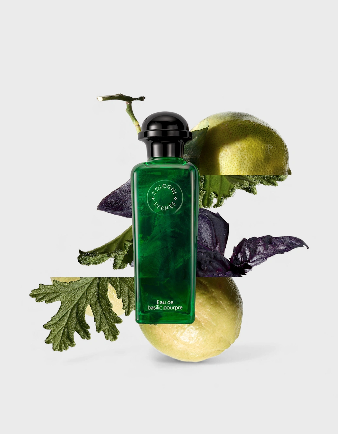 Eau de Basilic Pourpre Eau De Cologne 50ml
