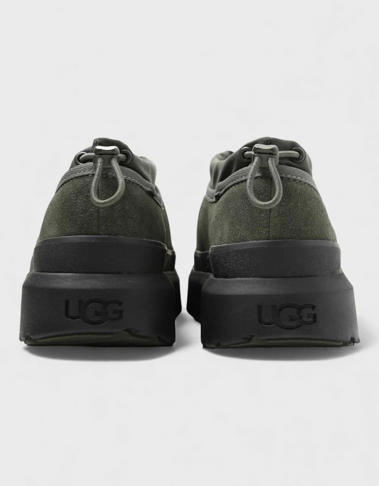 M Tasman Weather Hybrid Forest Night