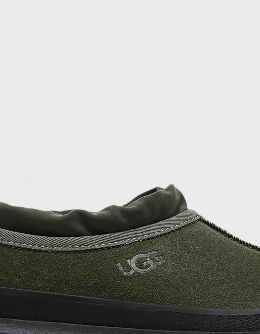 M Tasman Weather Hybrid Forest Night