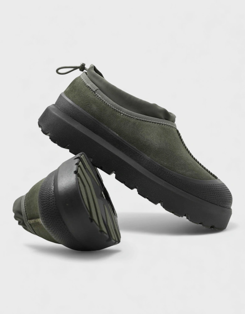 M Tasman Weather Hybrid Forest Night