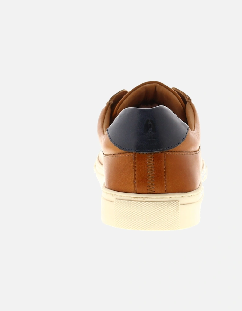 Colton Cupsole Men's Shoes UK Size