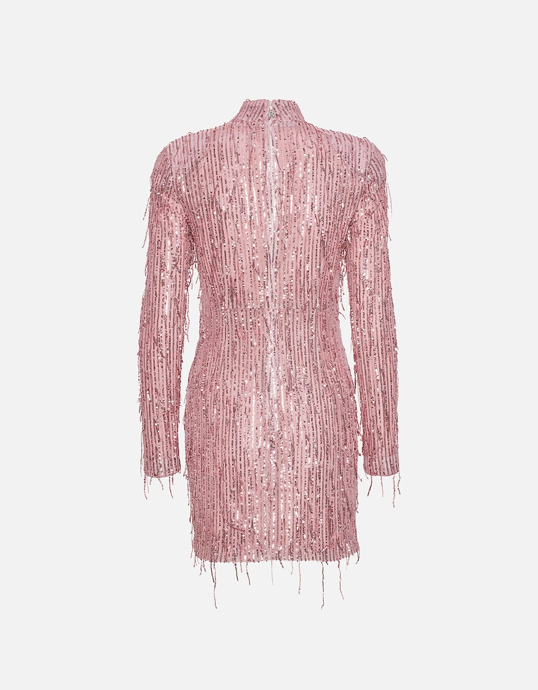Sequin Fringe Mini Dress