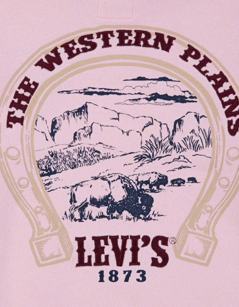 Girls Ruffle Hoodie in Pink