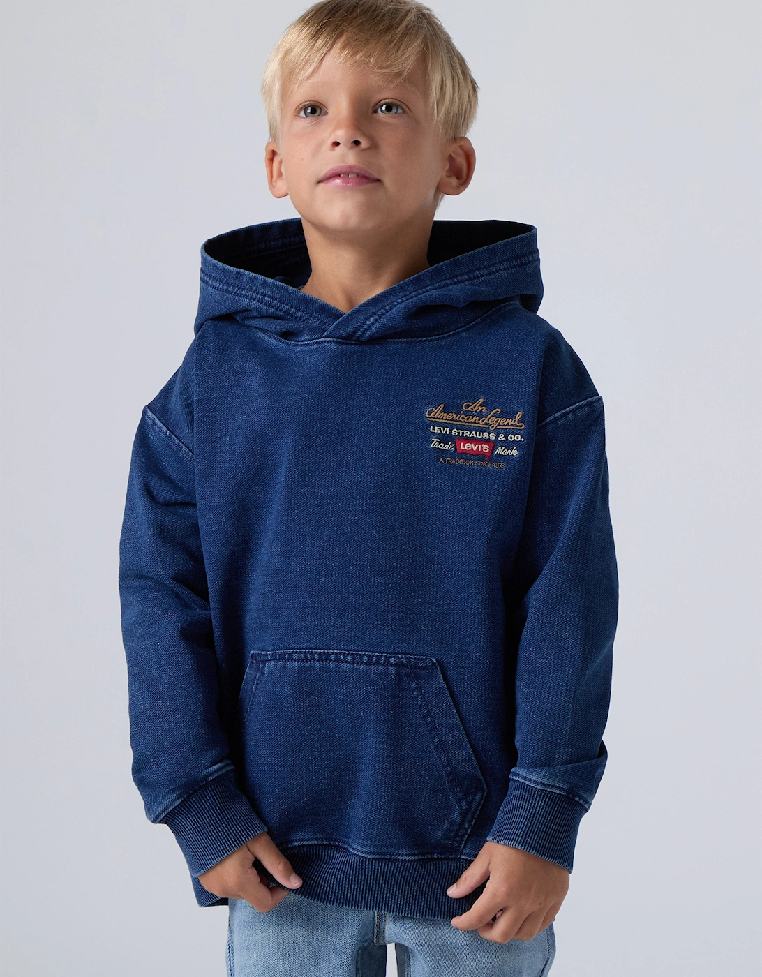 Boys Legendary Hoodie in Blue