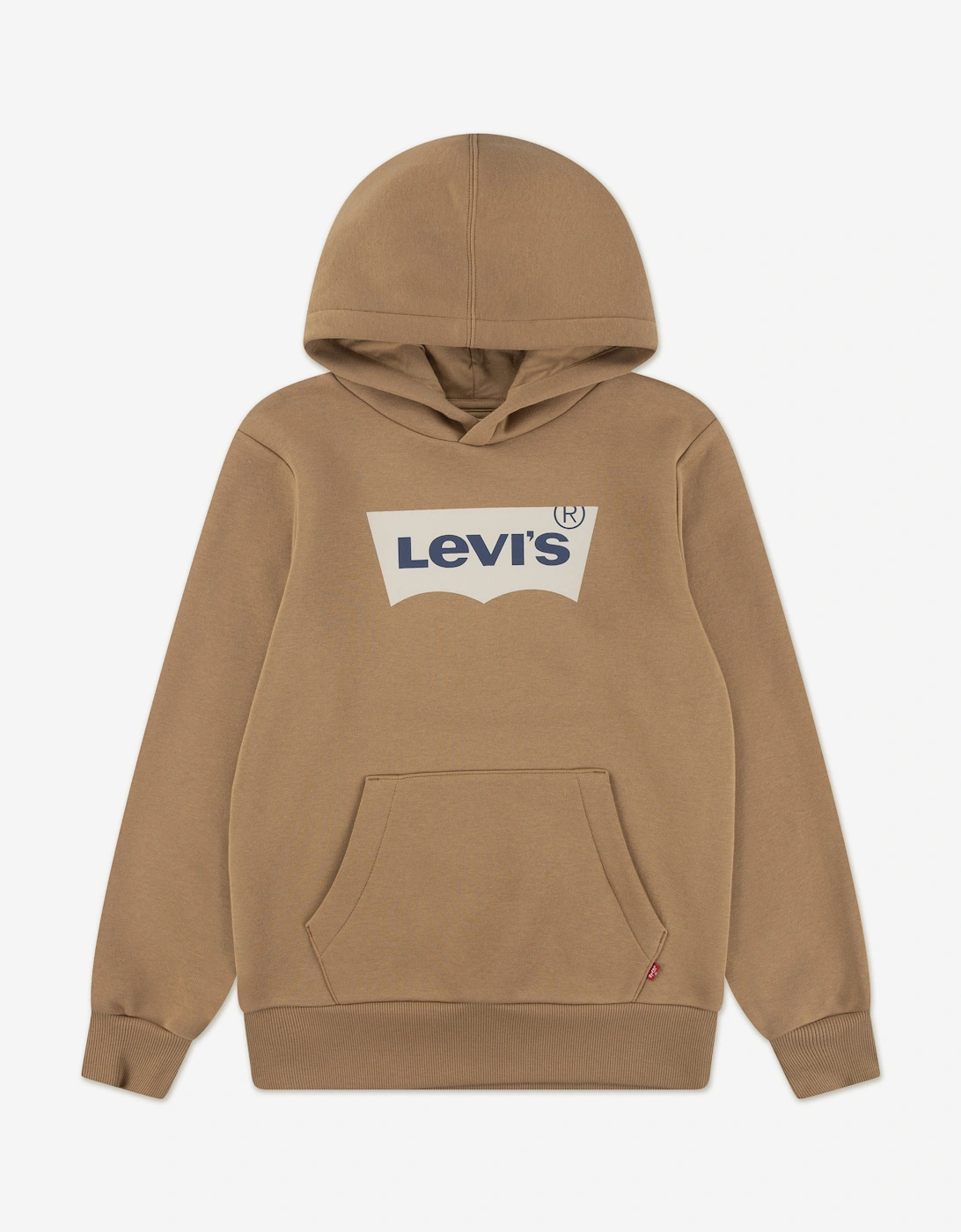 Boys Batwing Screen Print Hoodie in Brown, 5 of 4