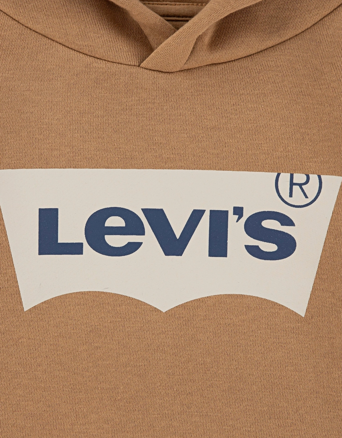 Boys Batwing Screen Print Hoodie in Brown