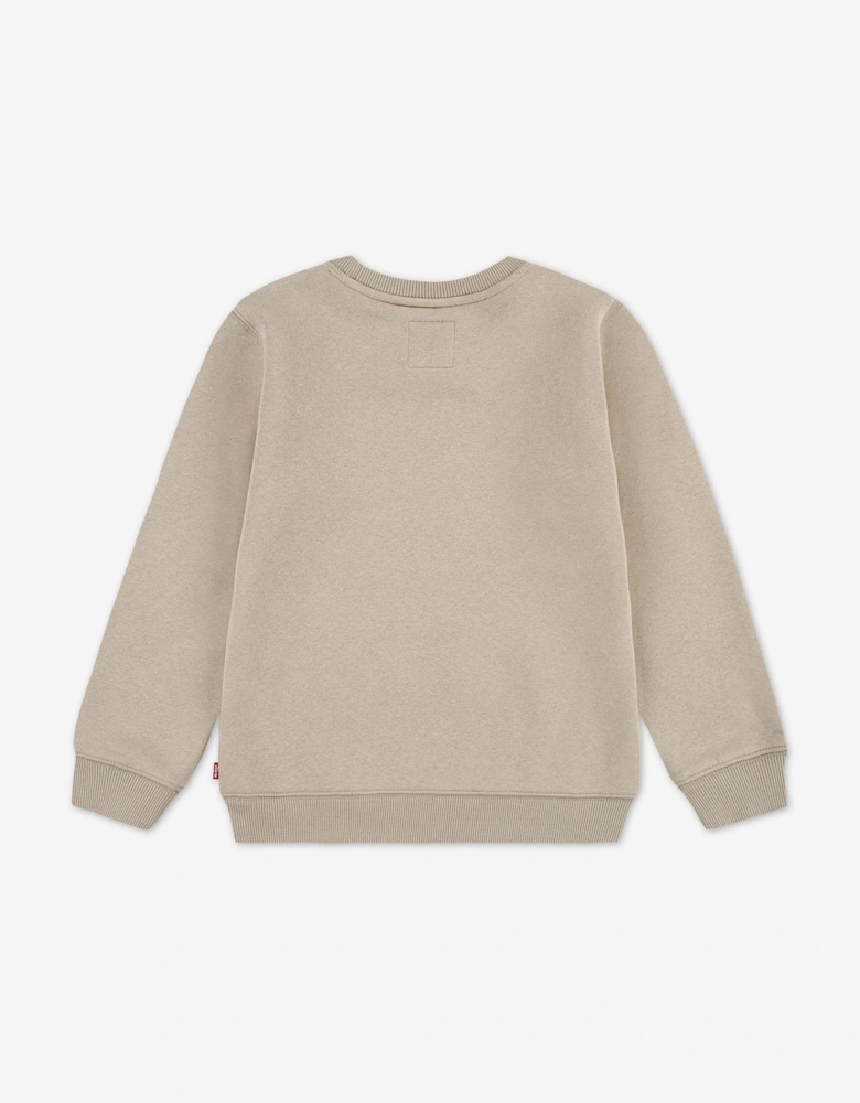 Boys Batwing Sweatshirt in Beige