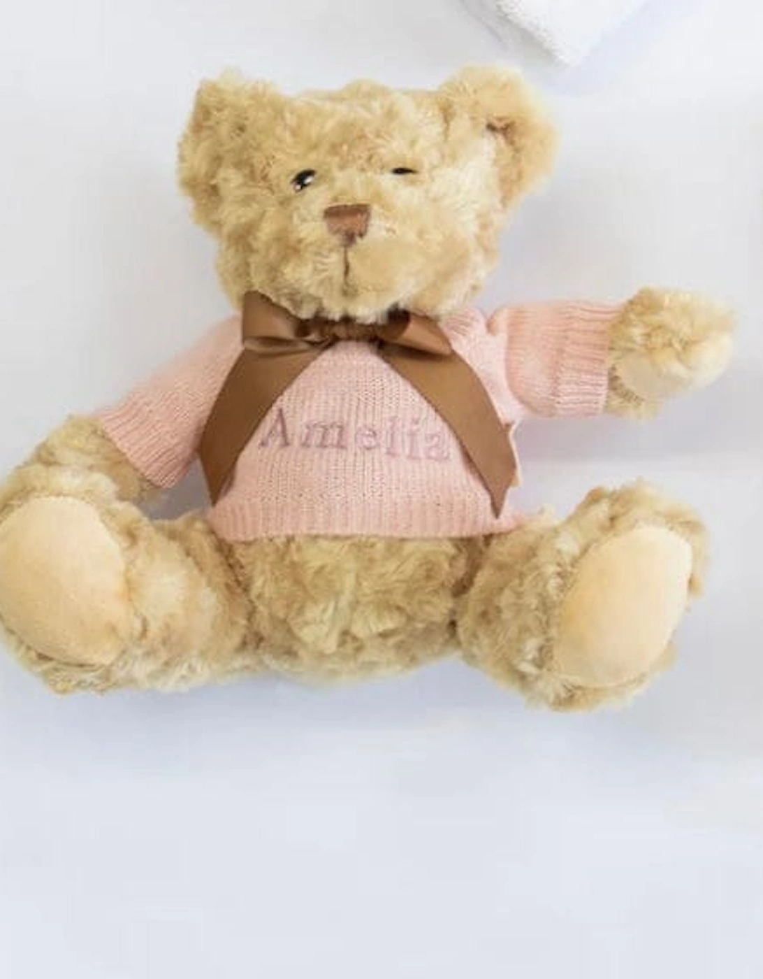 Luxury personalised teddy