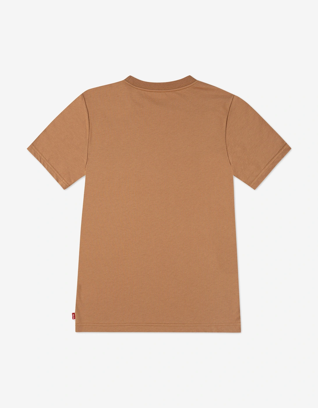 Boys Batwing Chest Hit T-Shirt in Brown