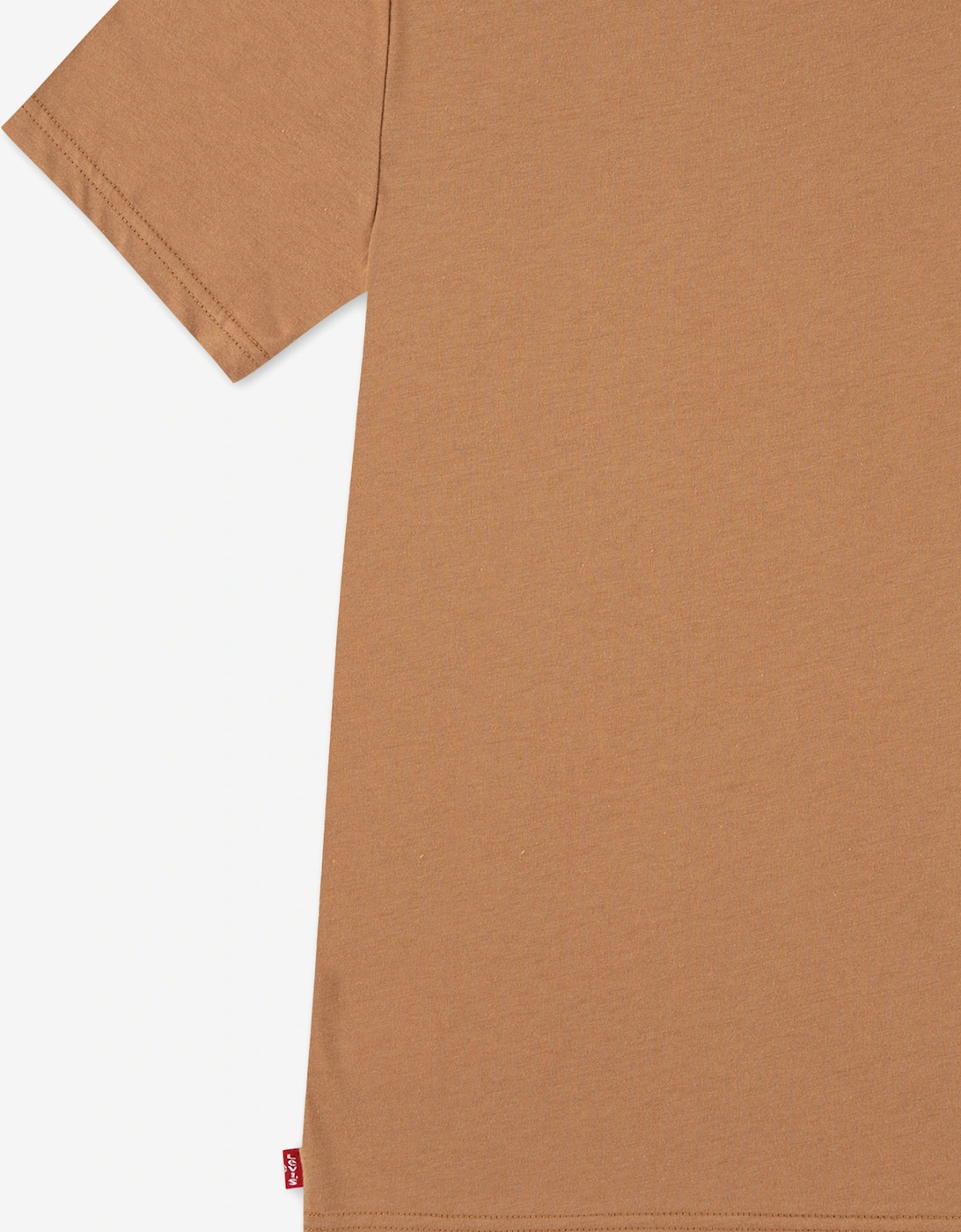 Boys Batwing Chest Hit T-Shirt in Brown