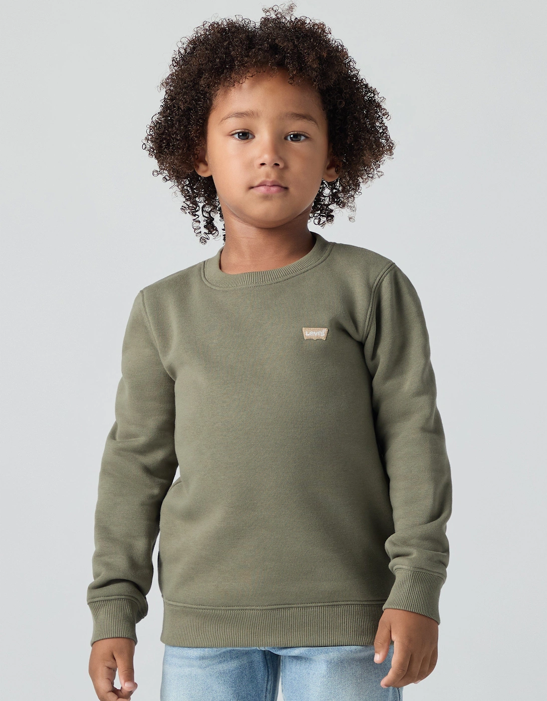 Boys Mini Logo Sweatshirt in Green