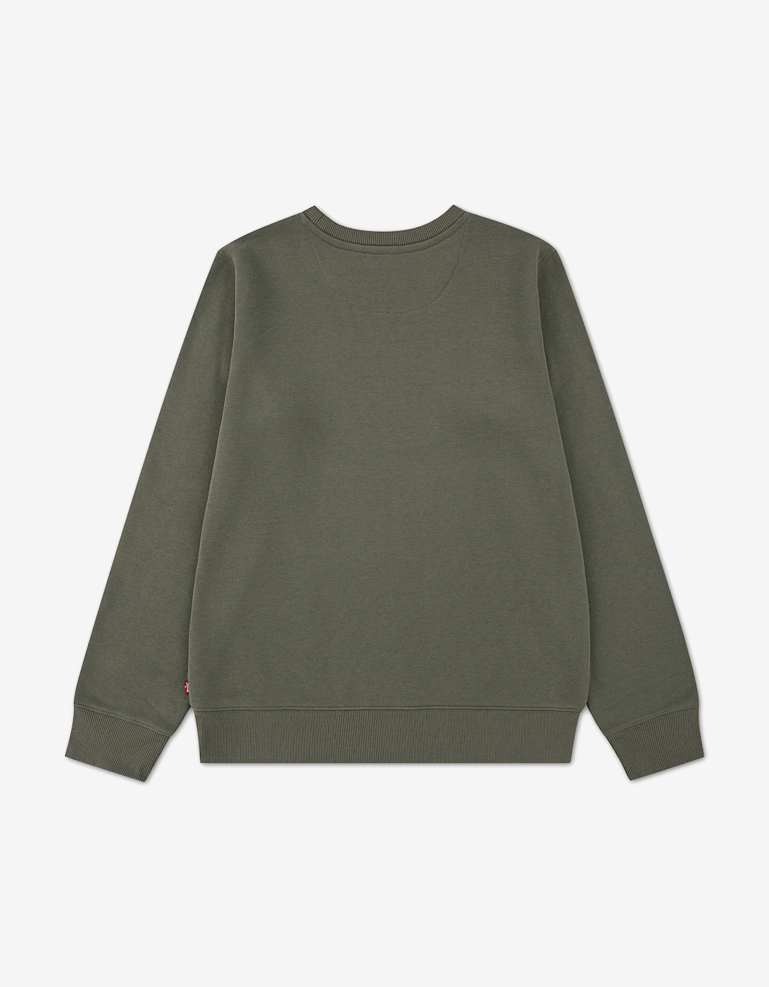 Boys Mini Logo Sweatshirt in Green