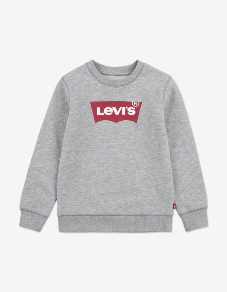 Boys Batwing Crew Neck Sweatshirt in Grey