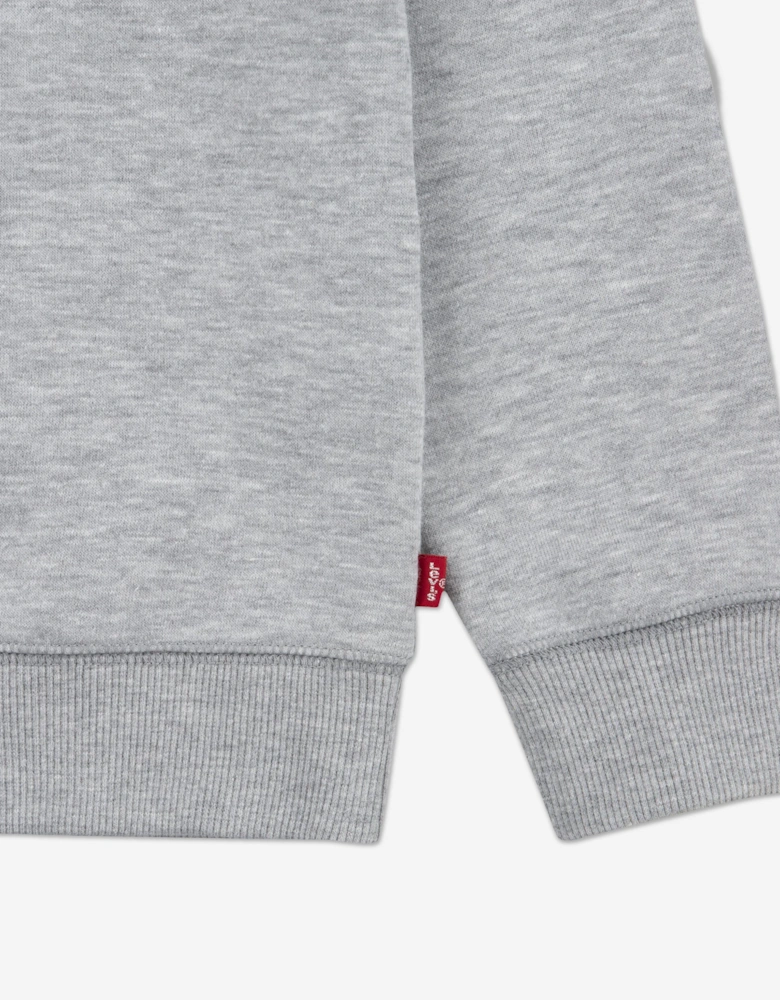 Boys Batwing Crew Neck Sweatshirt in Grey