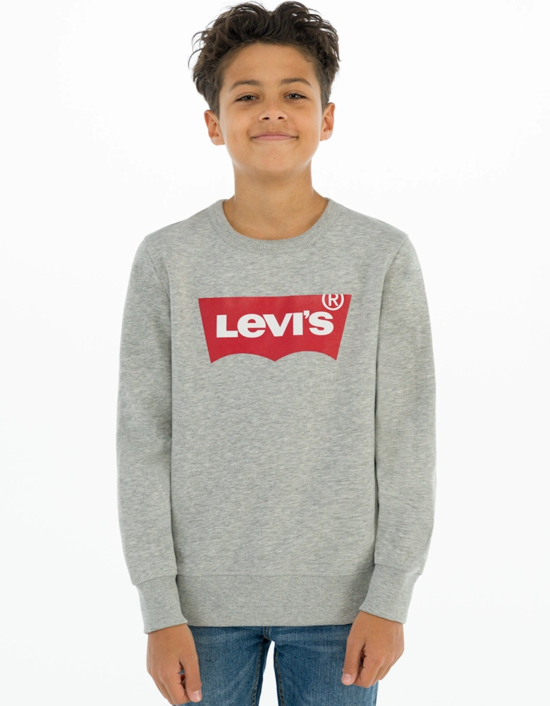 Boys Batwing Crew Neck Sweatshirt in Grey