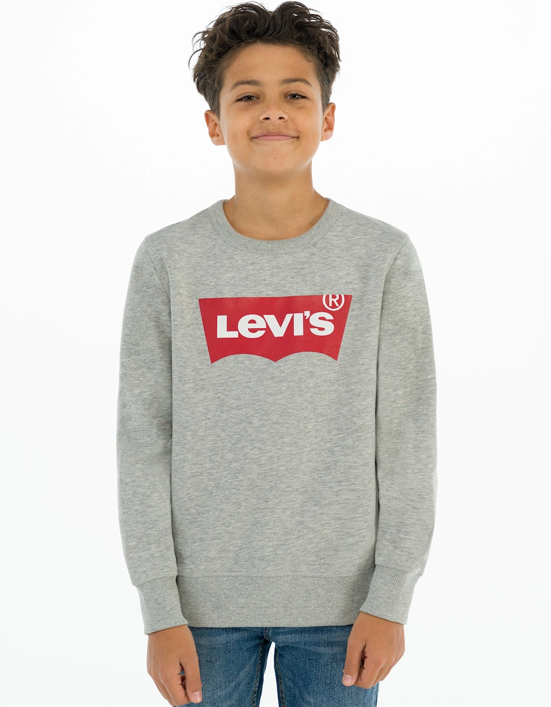 Boys Batwing Crew Neck Sweatshirt in Grey