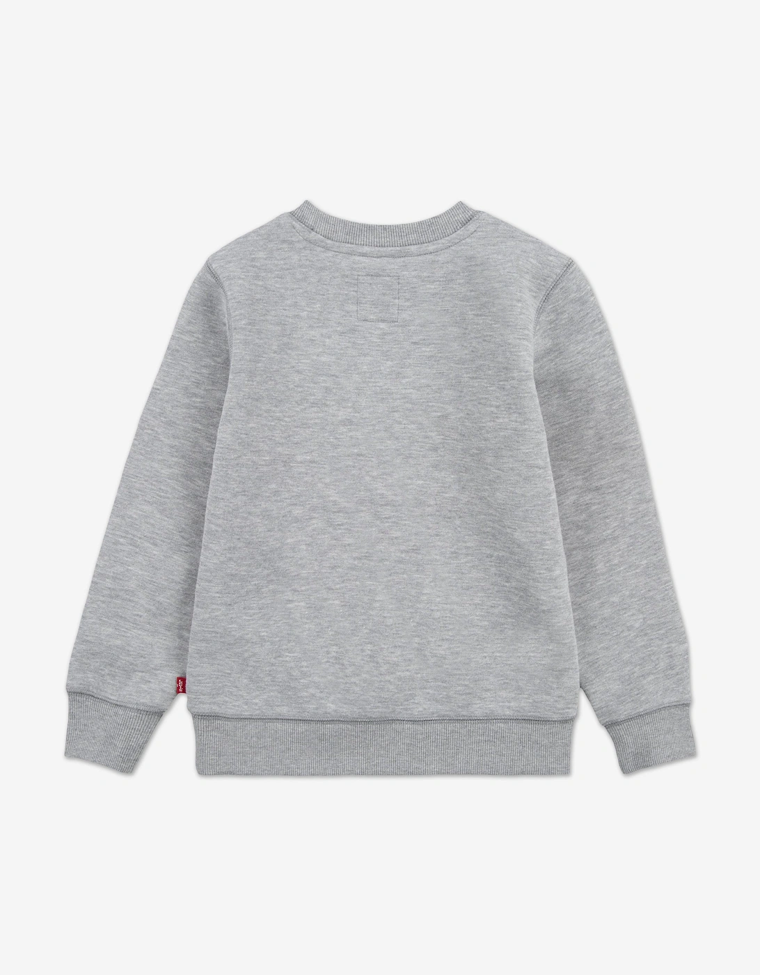 Boys Batwing Crew Neck Sweatshirt in Grey