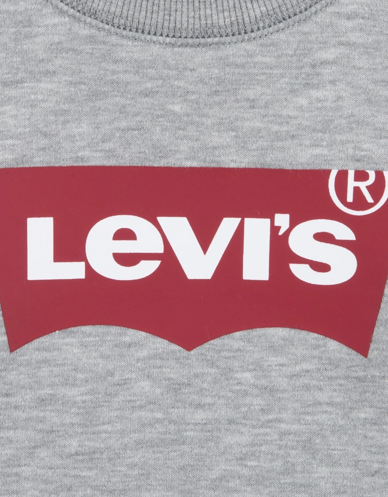 Boys Batwing Crew Neck Sweatshirt in Grey