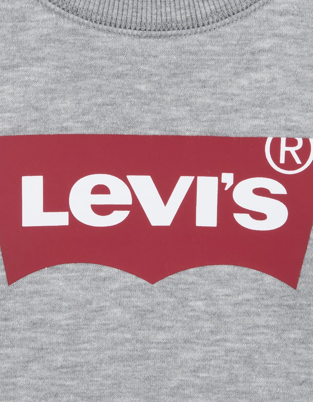 Boys Batwing Crew Neck Sweatshirt in Grey