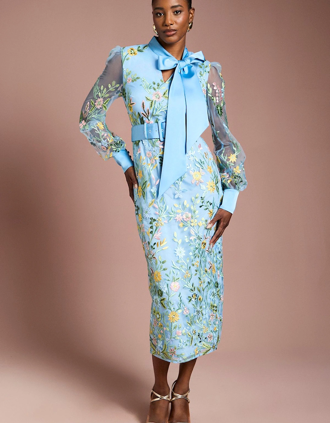 Embroidered Mesh Pussybow Midi Dress, 2 of 1