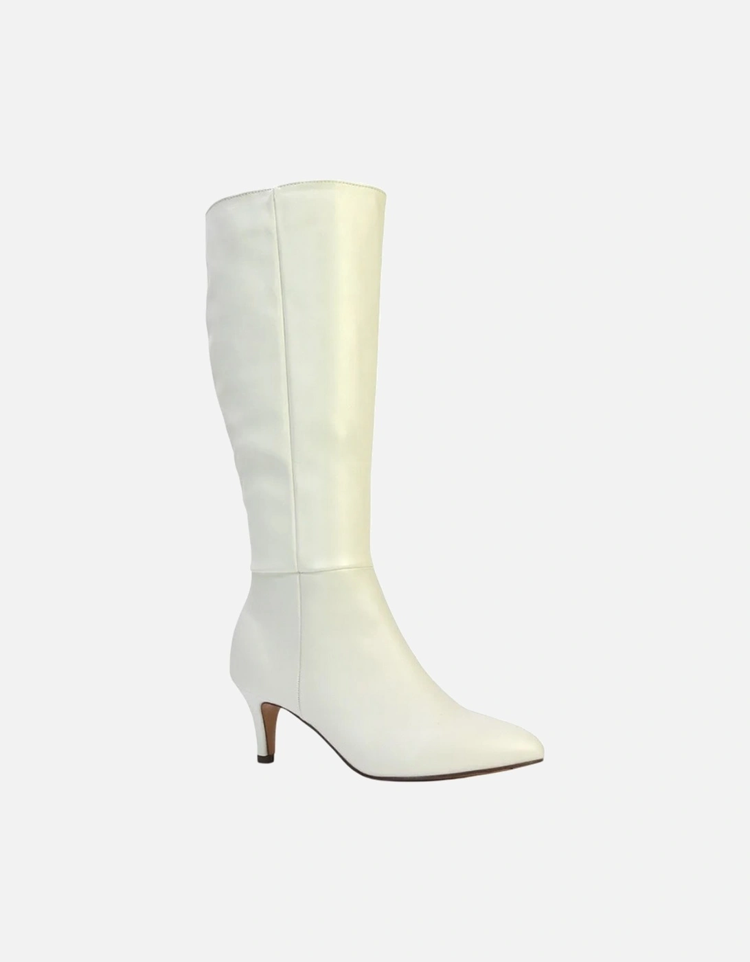 Womens/Ladies Coby Pointed Mid Stiletto Knee-High Boots