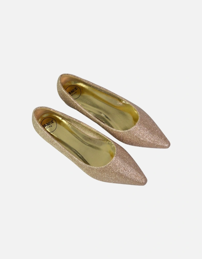 Womens/Ladies Karen Glitter Pointed Low Heel Court Shoes