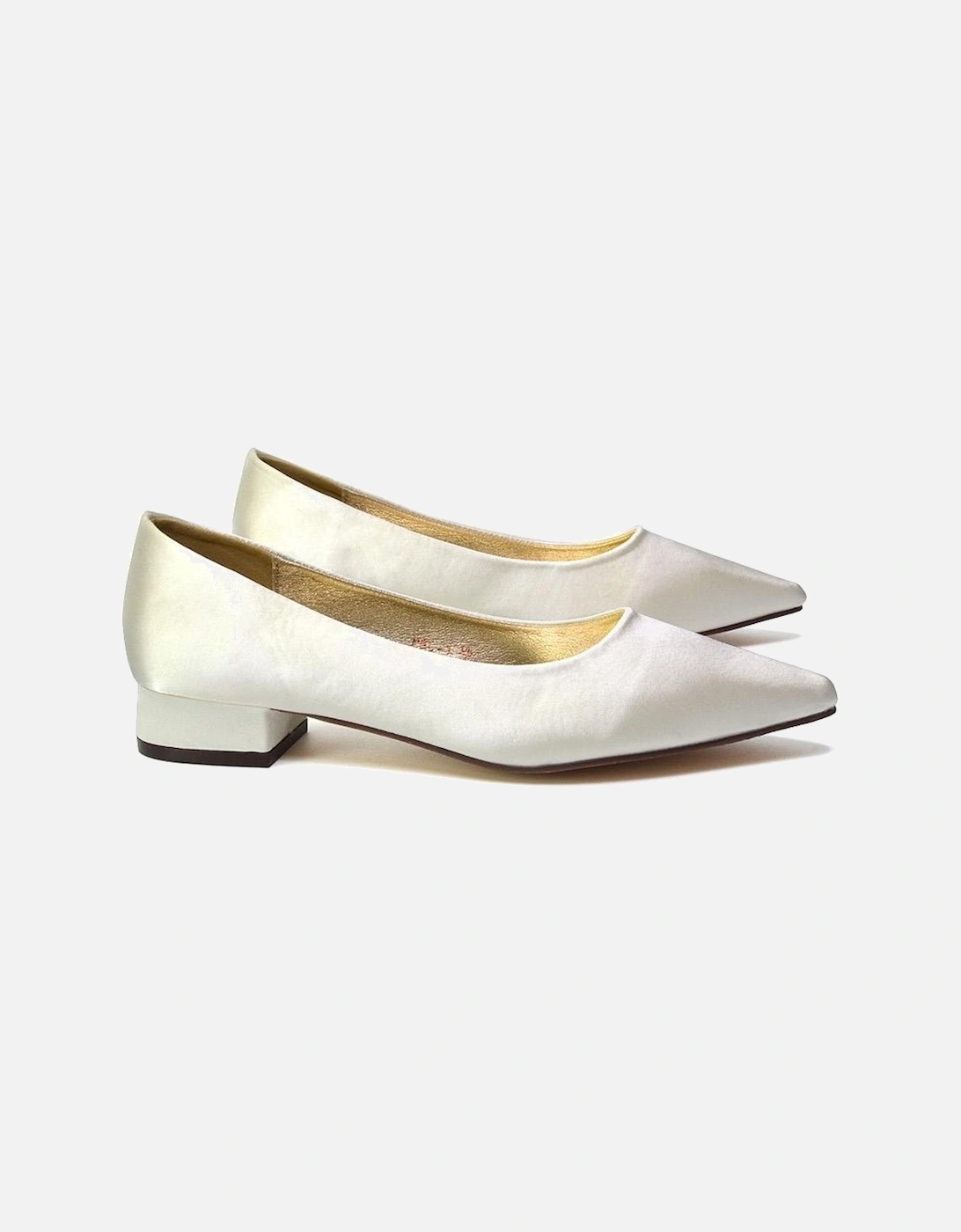 Womens/Ladies Karen Pointed Low Heel Court Shoes