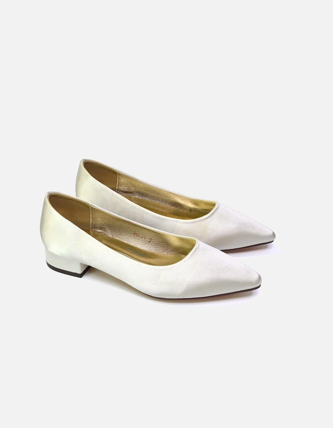 Womens/Ladies Karen Pointed Low Heel Court Shoes