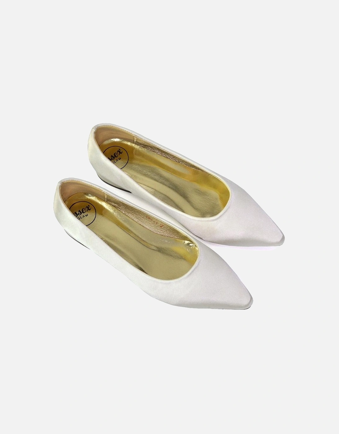 Womens/Ladies Karen Pointed Low Heel Court Shoes