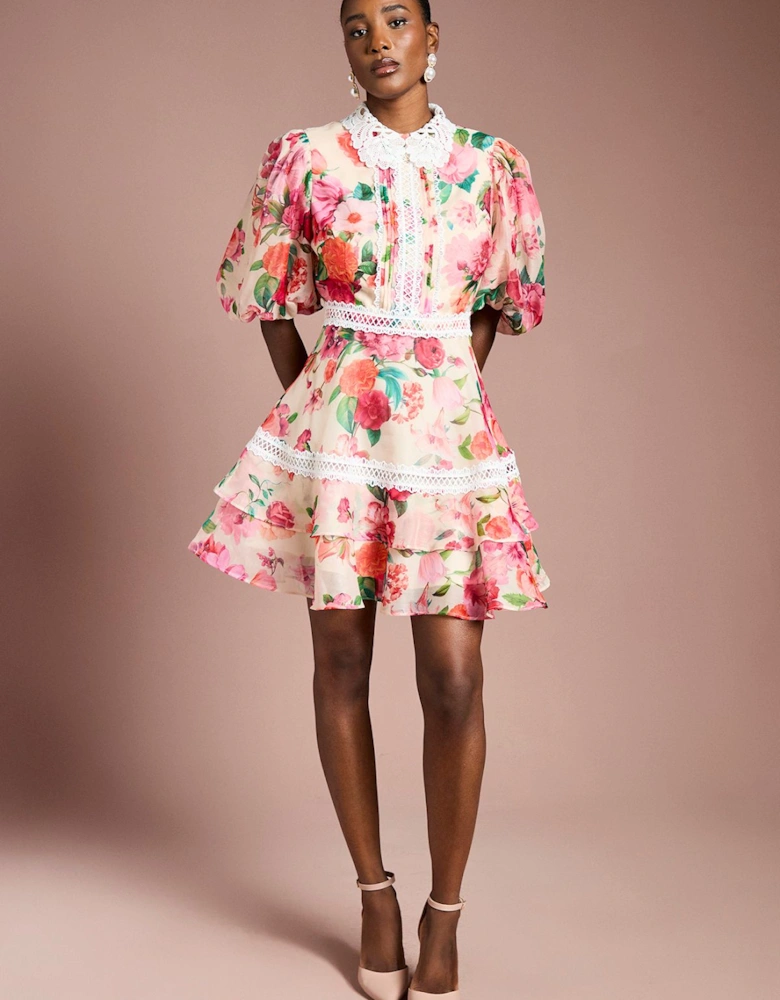 Lace Trim Collared Printed Organza Mini Dress