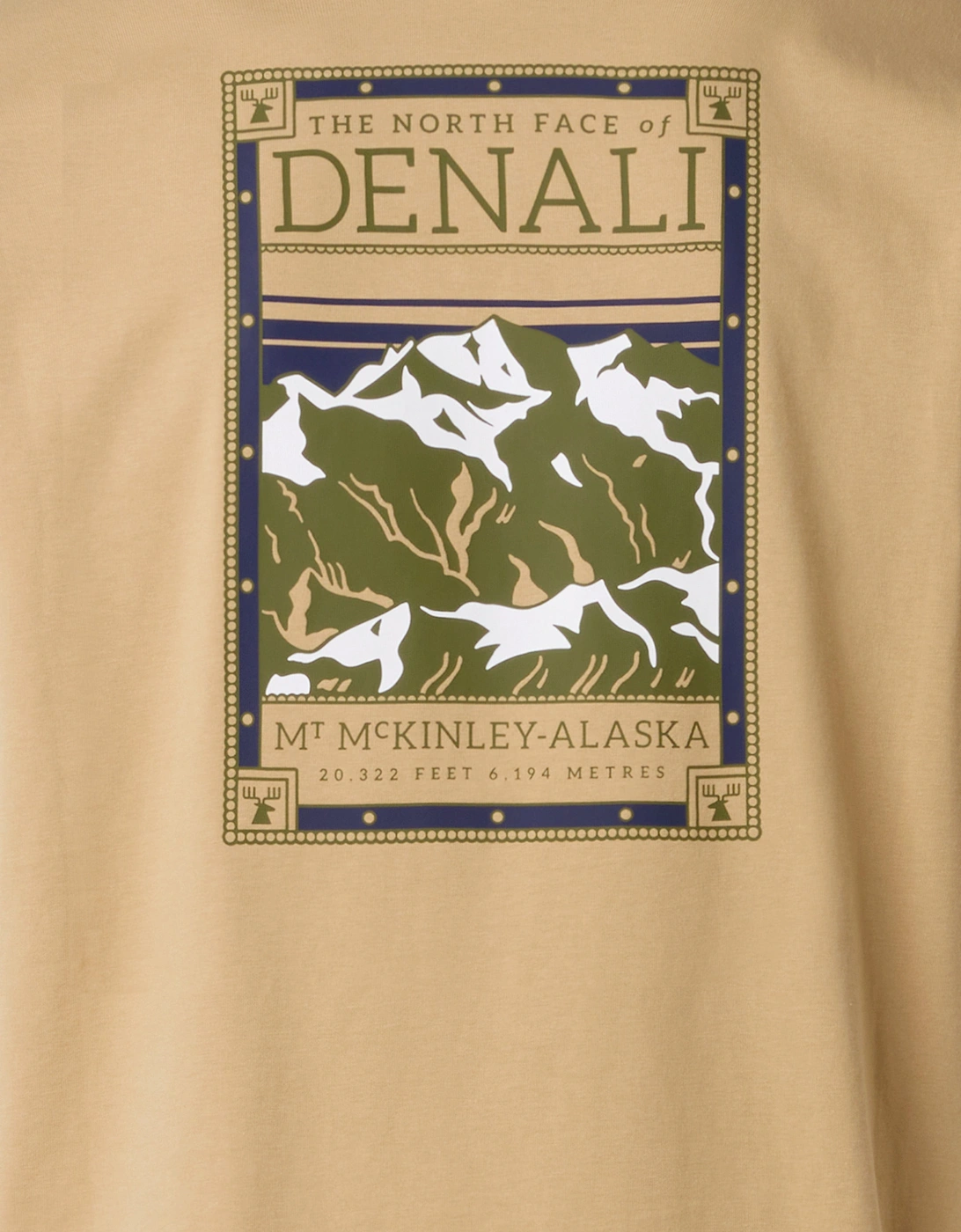 Boys Denali Print T-Shirt in Beige