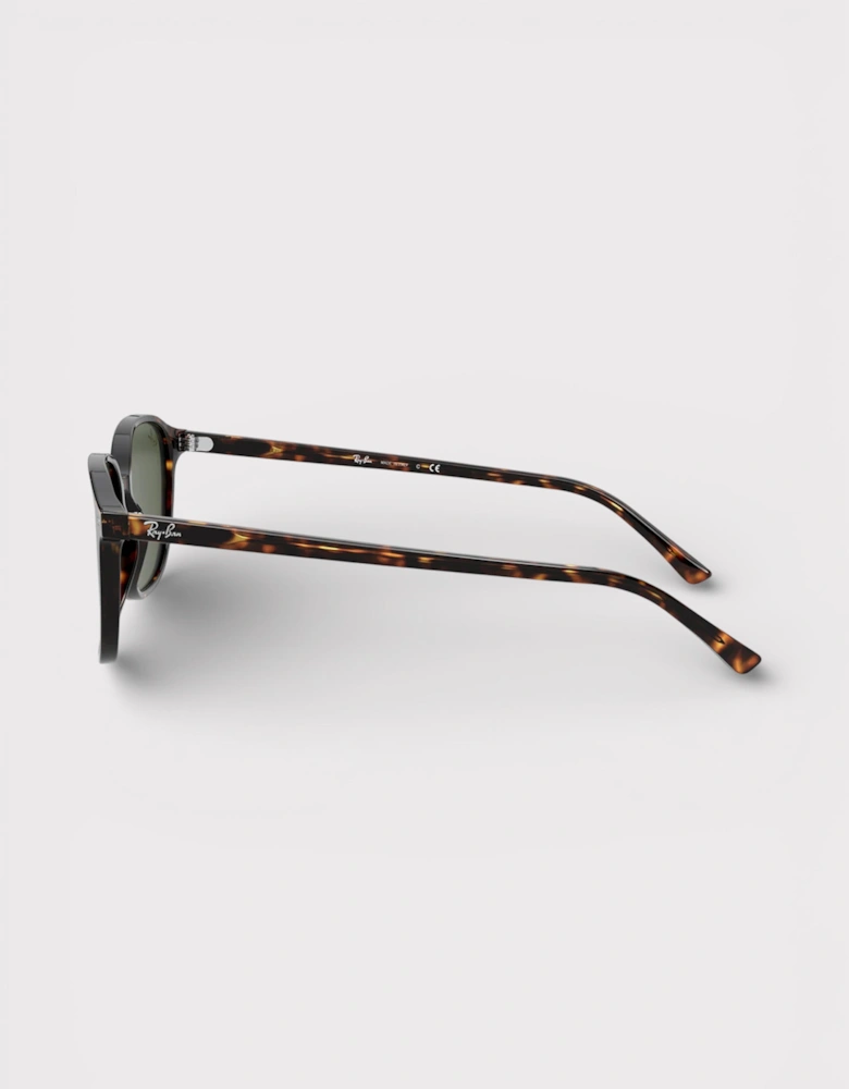 Leonard Sunglasses Polished Tortoise