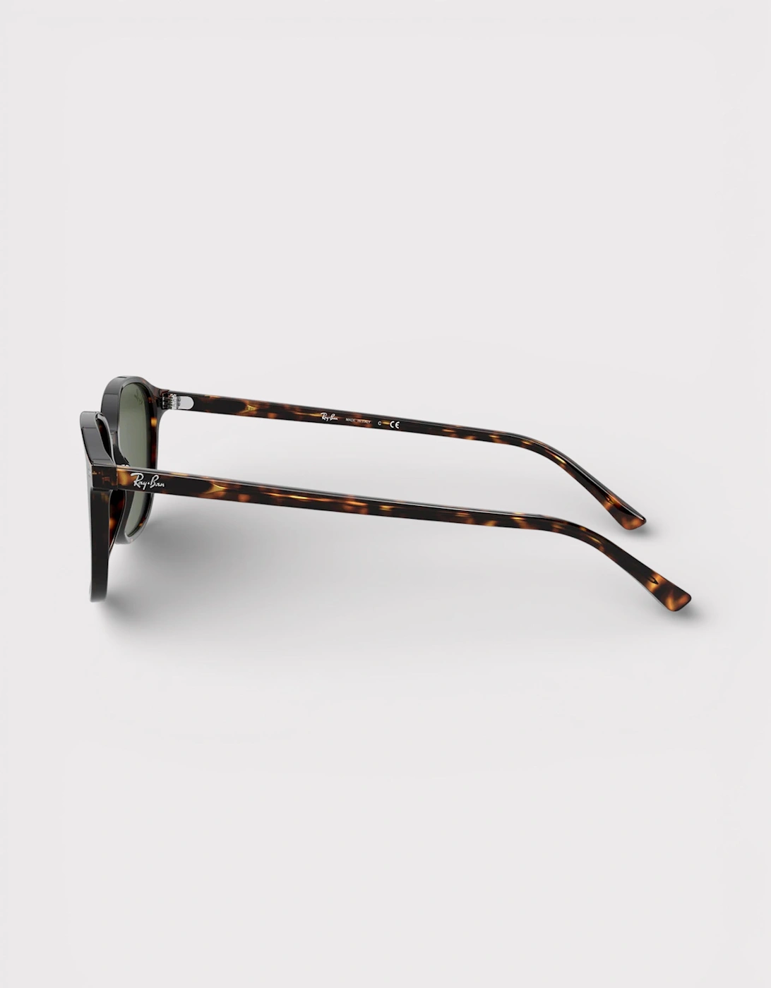 Leonard Sunglasses Polished Tortoise