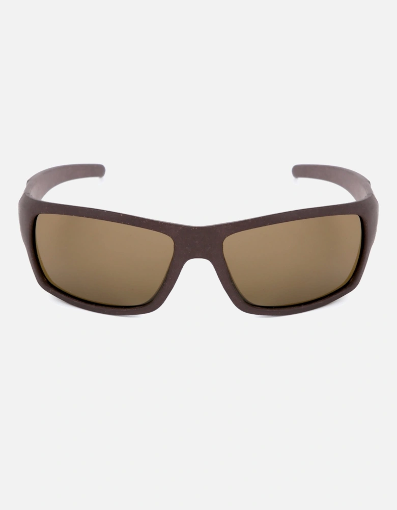 Daintree Sunglasses - Coffee