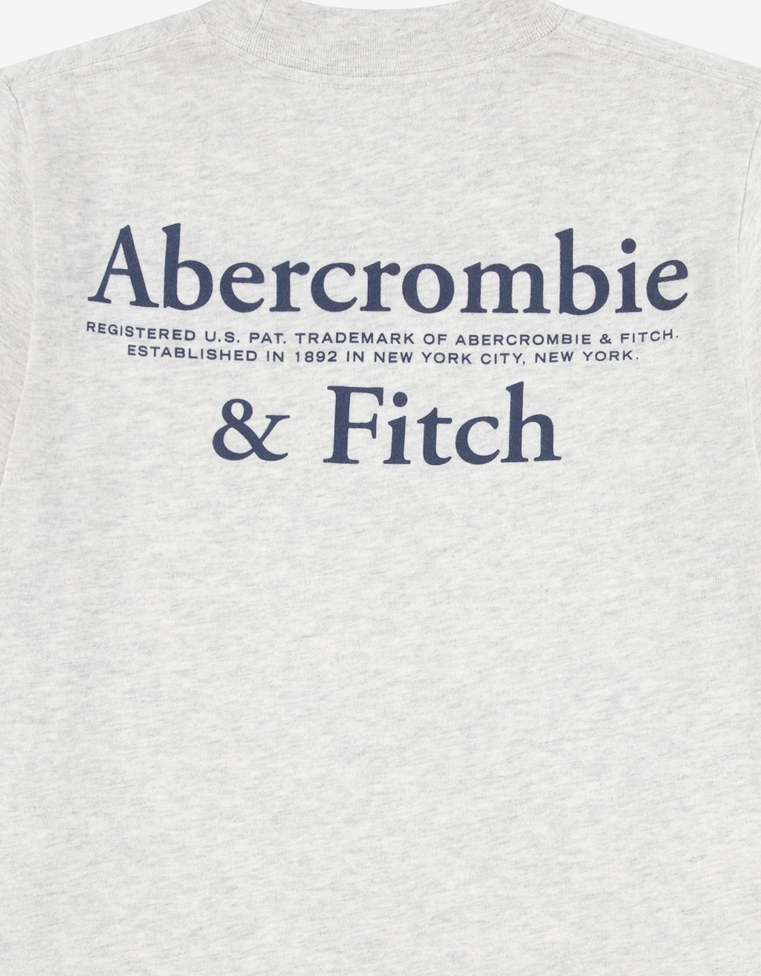 Boys Foothills T-Shirt in Grey