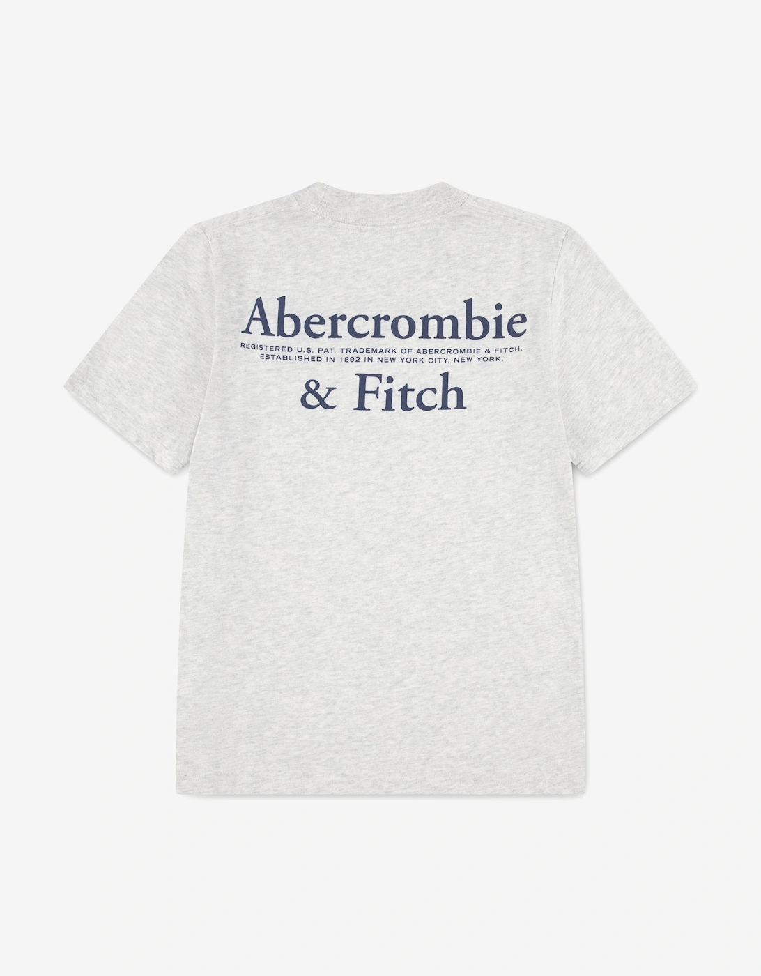 Boys Foothills T-Shirt in Grey