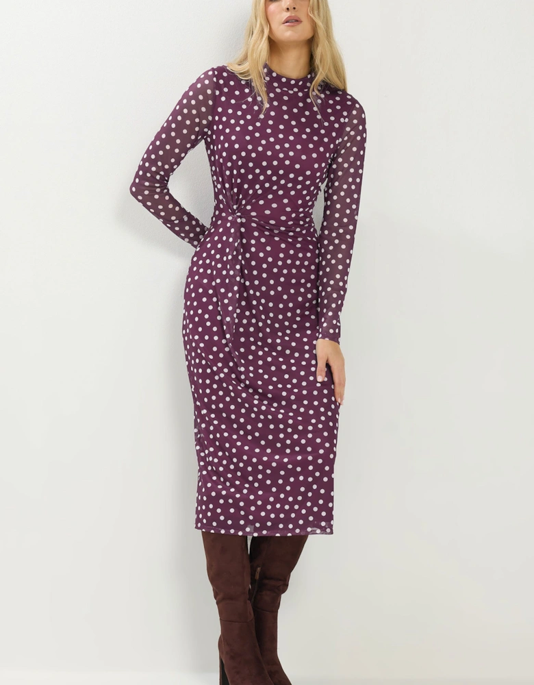 Tall Mesh Long Sleeve Maxi Dress