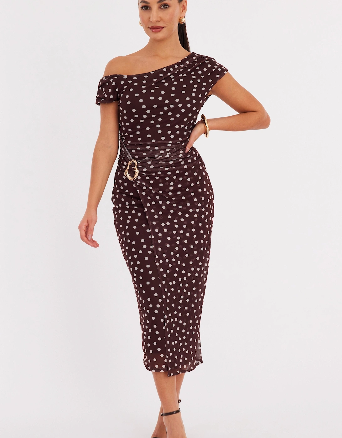 Brown Petite Polka Dot Mesh Midaxi Dress, 2 of 1
