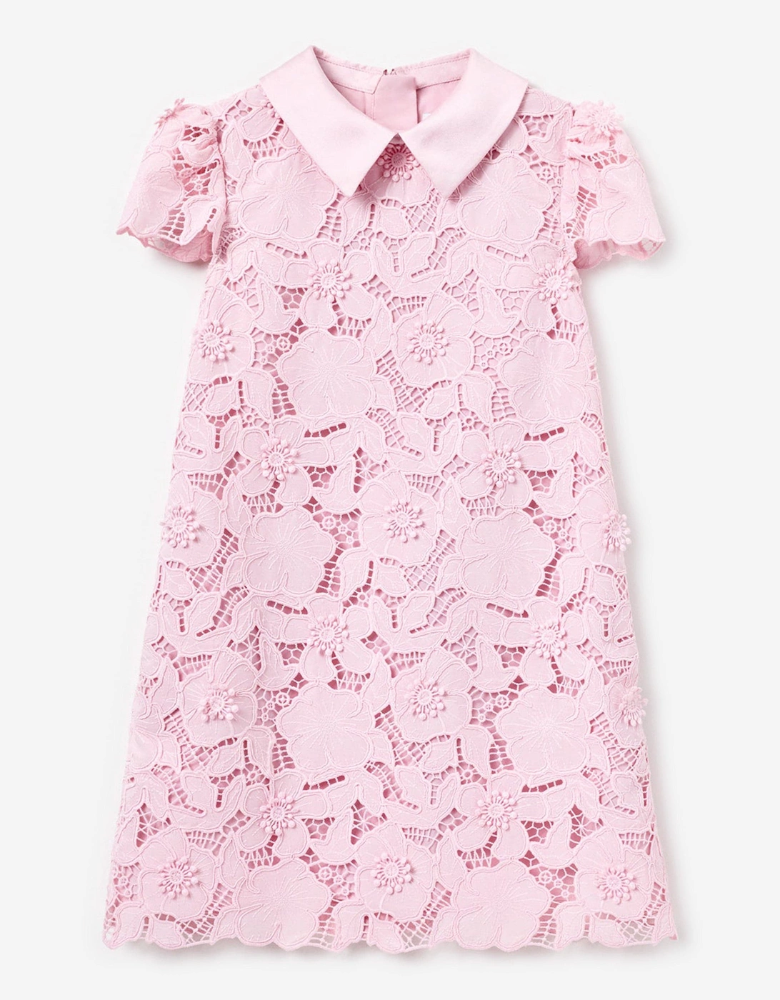 Girls Lace Flower Dress in Pink, 5 of 4