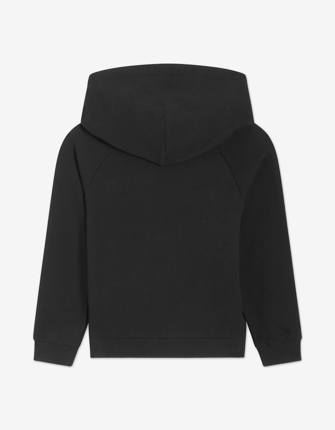 Boys Flock Logo Hoodie in Black