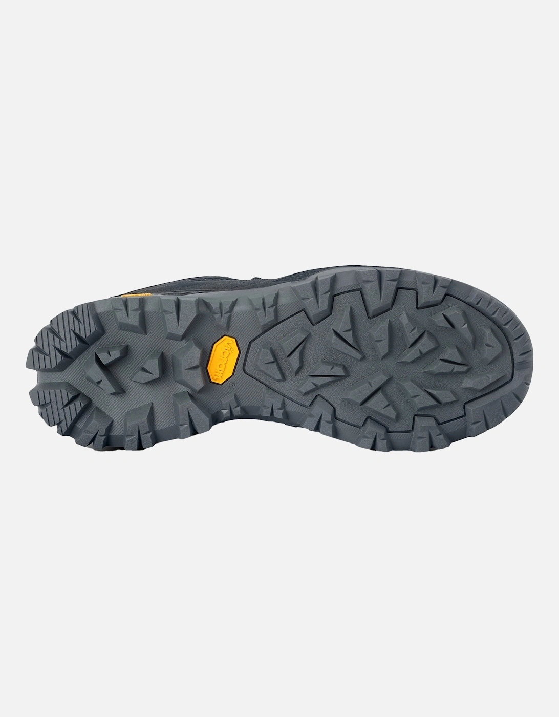 Womens/Ladies Blake Low Walking Shoes