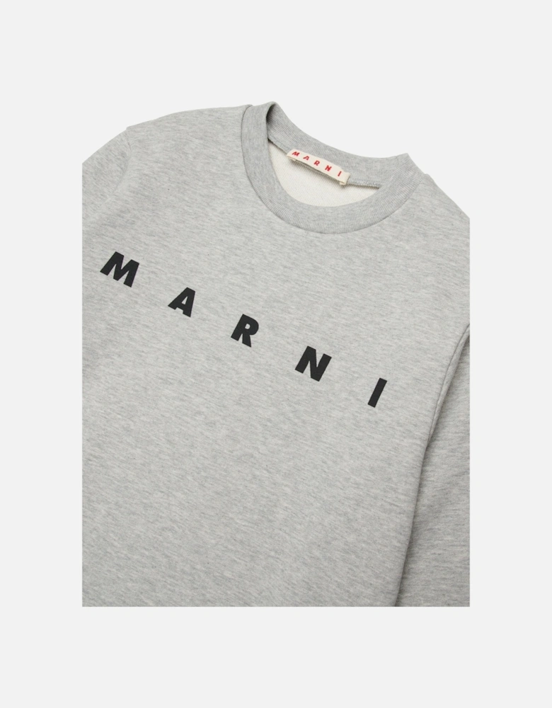 Kids Logo Sweatshirt in Grey