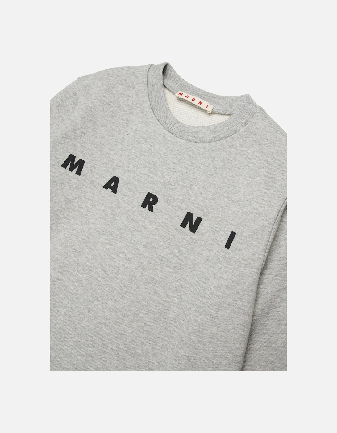 Kids Logo Sweatshirt in Grey