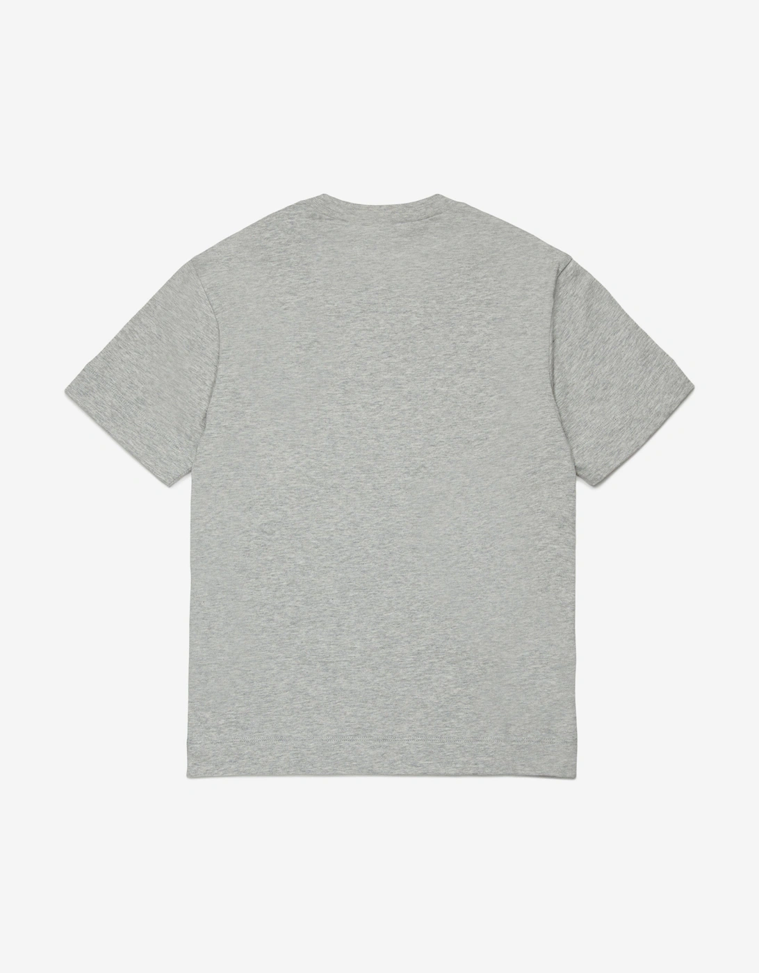 Kids Dinosaur T-Shirt in Grey