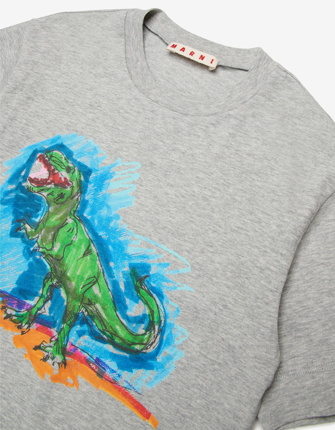 Kids Dinosaur T-Shirt in Grey