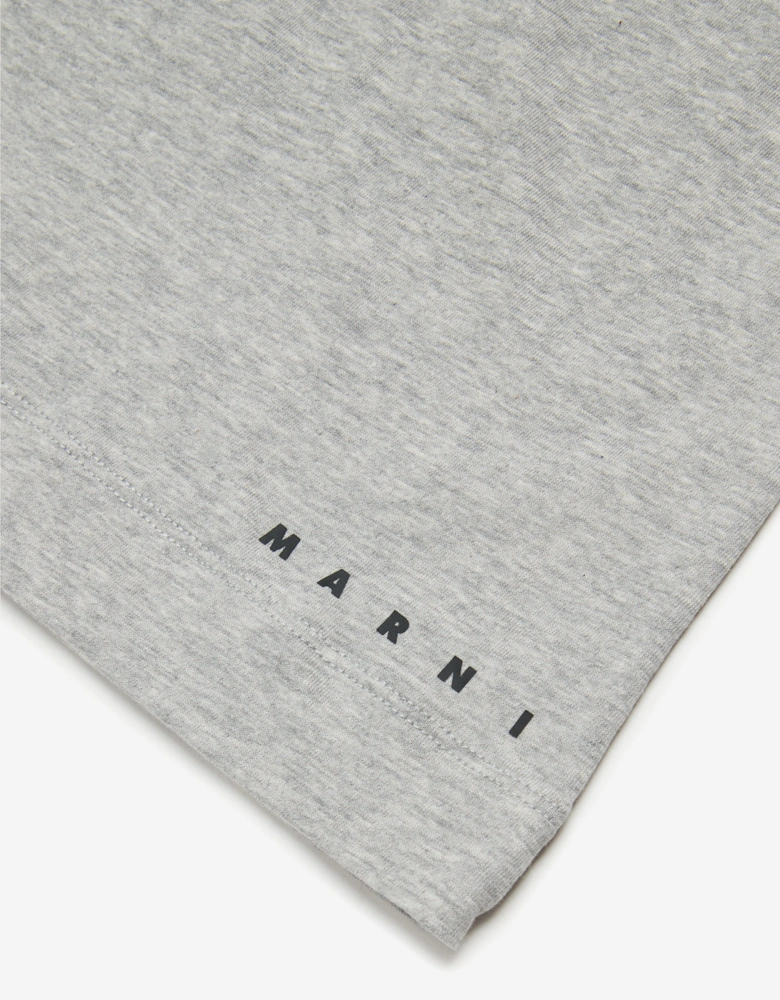 Kids Dinosaur T-Shirt in Grey