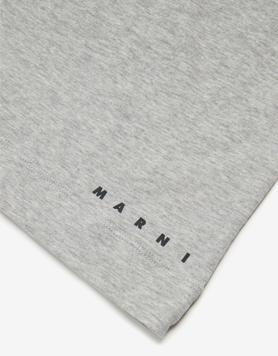 Kids Dinosaur T-Shirt in Grey