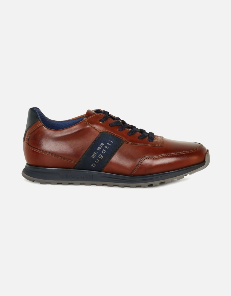 Cellar Mens Trainers