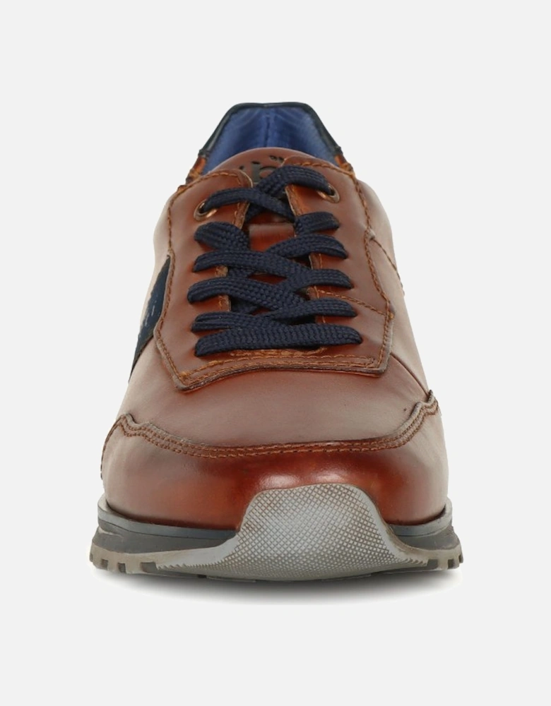 Cellar Mens Trainers